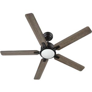 Customer Reviews for CARRO Essex 52 in. Integrated LED Indoor/Outdoor Black Smart Ceiling Fan with Light and Remote, Works w/Alexa/Google Home