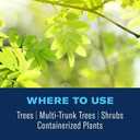 BioAdvanced 12 Month Tree and Shrub Protect and Feed Concentrate, 64 oz, Insect Killer, Tree Fertilizer & Plant Food