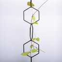 17PCSMetal Hanging Trellis for Pothos Plant Climbing Support | Vine Wall Lattice for Indoor and Outdoor Garden | House Accessories for Climbing Plants | Small Metal Trellis for Lattice Support (Hexagon Chain Trellis)