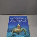Snapshot Picture Library Underwater Animals