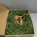 Fovths 1 Pack 6 Feet Christmas Norfolk Garlands Set Artificial Faux Greenery Garland 4 Cow Bell with Jute Hanging Rope Light String Winter Pine Garland for Xmas Indoor Holiday Decor, Green