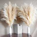 10 Stems 30" inch Dried Pampas Grass Decor Tall, Large Pompas Grass, Boho Neutral Home Decor Bouquet, Fluffy Pampass Grass for Floor Vase Wedding Floral Arrangements Wall Farmhouse Table Decor