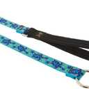LupinePet Originals 3/4" Turtle Reef 6-Foot Slip Lead/Leash for Dogs, 3/4" wide slip lead, 6-foot, O-ring
