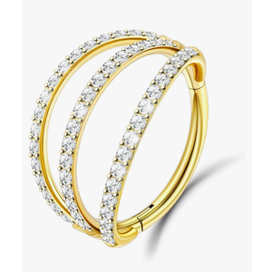 1PC Nose Ring Hoop G23 Titanium CZ Helix Rook Conch Cartilage Daith Tragus Earrings Hinged Segment Nostril Piercing Septum Clicker 18G 16G Silver Gold Lip Ring 8mm 10mm 12mm