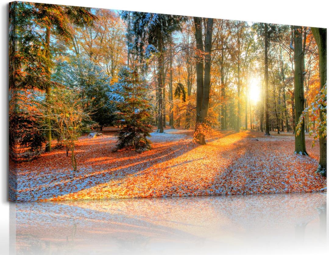 Bamdeya Large Canvas Wall Art Forest Prints Sunset Tree Wall Decor Autumn Poster Modern Panel Art Natural Landscape Painting Fall Scenery Artwork Living Room Bedroom Decor Home Office Decoration (40"L x 20"W)