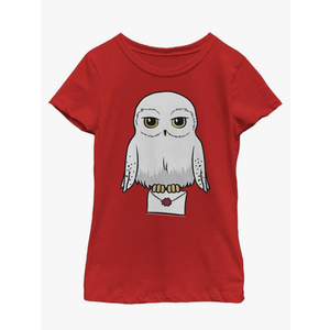Harry Potter Girl's Anime Hedwig Mail Medium