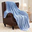 Plush Fuzzy Fleece Throw Blanket Extra Large, Super Soft, Fluffy and Warm Blankets for Couch, Bed, Suitable for All Seasons (23x32  Inches, Light Blue)