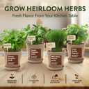HOME GROWN Herb Garden Planter Indoor Kit Unique Christmas Gift for Adults, Men, & Women - Grow 4 Heirloom Herb Seeds on Kitchen Window Beginner DIY Craft & Hobby Gardening Gift for Plant Lovers