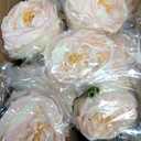 Giegxin 20 Pcs Real to Lifelike Peonies Austin Roses Artificial Flowers, Faux Look Real Long Stems Fake Flower with Big Blooms for Christmas Valentines Wedding DIY Arrangement Home Decor (Light Pink)