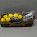 NERF Kids Bounce N Score Target Toss Game Set - Foam Ball Bouncing Game for Kids Ages 6+ - (6) Foam Bouncy Balls and (1) Scoring Target Included