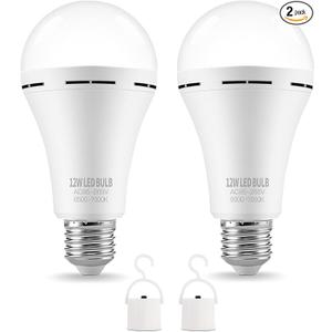 Lightning 15 Watt (100 Watt Equivalent) A19 Cool White LED Light Bulb, Medium Base 2 Pack