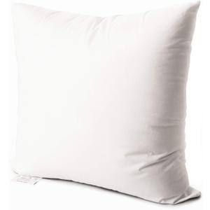 EDOW Luxury Throw Pillow Insert, Soft Fluffy Down Alternative Polyester Square Form Decorative Pillow Insert,Sham Stuffer,Cotton Cover for Sofa, Couch,Bed and Car. (White, 20x20)
