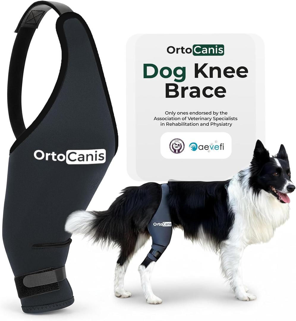 Ortocanis Dog Knee Brace for Hind Leg Support  Flexible Neoprene Knee Brace for Dogs with Joint Instability, Torn ACL, Limping or Osteoarthritis  Comfortable Support for Recovery (X-Mini, Left Leg)