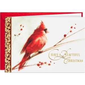Hallmark Boxed Christmas Cards, Painted Cardinal (40 Cards and 40 Envelopes) Beautiful Christmas