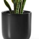 LE TAUCI 10 Inch Plant Pot, Ceramic Pots for Plants with Drainage Hole and Rubber Plug, Plant Pots Indoor for Olive Tree, Cylinder Planter Pot for Home Patio Office, Black