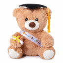 WEIGEDU Graduation Gift Teddy Bear Stuffed Animal Plush Toy with Cap, Sash & Diploma, Graduation Gift for Kids, Students, Boys & Girls, 12 Inch