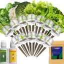 Lyko Heirloom Salad Greens Seed Pod Kit for AeroGarden, iDoo, Ahopegarden, GARDENCUBE, 12 Pods with American Fast/Paris Island/Buttercrunch Lettuce, Spinach, Swiss Chard, Cauliflower, Wild Cabbage