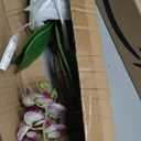 Nearly Natural 24in. Orchid Phalaenopsis Artificial Arrangement in Vase (Pink)