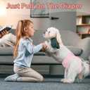 Ambreview Disposable Dog Diapers Female, Just Pull It Up, Doggie Diapers for Female Dogs, Strong Absorbency | Leak Proof, for Dogs in Heat | Elderly | Disabled, S 10 PCS