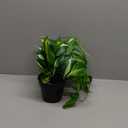 Artificial Devil's Ivy Golden Pothos Fake Plant,Hanging Potted Plants for Wall Home Patio Indoor Outdoor Decor(H 26in) (Medium)