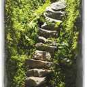 Desktop Glass Plant Terrarium with Grow Light (H:9.8" D:5.9"), for Succulent, Moss, Miniature Gardening Landscape, Betta Fish Tank, Office Home Decoration, Plant Lovers Gifts