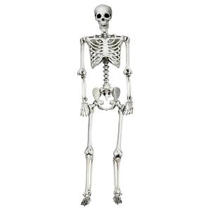 65-in White Skeleton Ornament for Indoor/Outdoor Halloween ...