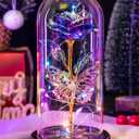 Valentines Day Rose Gifts for Her Women Birthday Gift Galaxy Glass Rose Forever Eternal Crystal Flowers Roses in Glass Dome with Butterfly Valentine Gifts for Women Daughter Mom Wife Girlfriend Purple