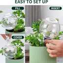 Soilagua 19 oz Extra Large Plant Self Watering Globes Top Fill, Plastic Water Bulbs, Slow Release Terracotta Self Watering Planter Insert, Plant Watering Devices System, Water Spikes Stakes, 2 Pack