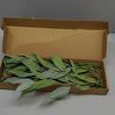 Ling's Moment Artificial Plants Eucalyptus Leaves Branches,10Pcs 17.7"Tall Fake Greenery Filler w/Stems, Lifelike Texture Plant Decor for Wedding Bouquets/Table Centerpieces, Outdoor/Party/Room/Office