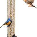 Backyard Expressions Tall Tube Bird Feeder - Durable Hanging Wild Bird Feeder for Wild Birds - 23" Tall, 6-Port Design