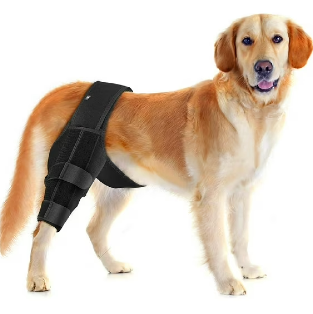 Joypig Dog Sleeve for Rear Legs to Stop Licking, Upgraded Surgical Recovery Sleeve for Hind Back Leg Wound,TPLO, ACL Surgery, Light Comfortable Cone Alternative (L-Left,Light Grey)