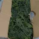 SHareconn 6FT Artificial Christmas Cedar Garland Decoration, Realistic Faux Cypress Greenery Garland for Winter Mantle Table Stairs Railing Fireplace Holiday Indoor Outdoor Decor, 6 FT