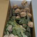 Faux Fall Flowers for Vase Fake Mums Artificial 10 Stems +10 Branches Pampas Grass,Long Stems Silk Flowers Home Decor,Faux Floral Pompon Balls For Table,Halloween Centerpieces,Wedding Arrangements (Dark Brown/Light Brown(mix))