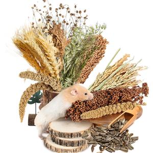 Natural Ear of Grain Flower&Herb Bedding Mate Habitat Decor, Adding Fun Hamster Accessories for Hamsters Gerbils Lemming (Harvest Wind)