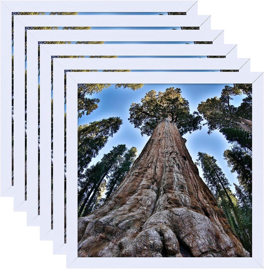 6x6 Square Picture Frame White Photo Frames Display for Wall and Tabletop, Set of 6