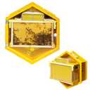 Bee Hive Box with Observation Windows,Complete Beehive Starter Kit,Hanging Beehive for Indoor Bee Breeding,Transparent Door Panel for Easy Observation,with 3 Beehive Frames and 6 Comb Honey Box