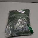 Beistle Womens 50456 Tropical Fern Leaf Hula Skirt, 24", Green, 0 US