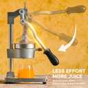 CO-Z Manual Citrus Juicer, Commercial Grade Cast Iron Orange Juicer, Professional Heavy Duty Juice Press with Removable Strainer, Manual Juice Extractor for Orange Lemon Pomegranate Citrus, Gray