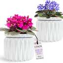 Thriving Thicket 6 Inch African Violet Pots Self Watering, Ceramic Planter with Water Reservoir and Fill Lines, 4 Inch Opening, Indoor Flower Pot, Holds 3 Weeks of Water (2 Pack White)