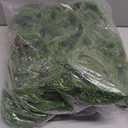 6FT Christmas Garland Set of 2  Lifelike Norfolk Pine Garland for Holiday Decor, Perfect for Mantels, Staircases, Doorways, Indoor/Outdoor Decorations