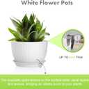 Meowell 12/10/9 inch Large Plant Pots, 3 Pack Wide Flower Pots for Outdoor Indoor Plants with Water Ripples, Big Plastic Planters with Drainage Holes and Saucers for Garden House Plants, White