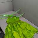 Fairy Costume for Girls Princess Dress up Halloween Cosplay Outfit, Color: Green, Size: M