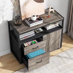 Tribesigns Modern File Cabinet with Drawers for Letter-Sized File and Door, Lockable lateral Filing Cabinet Printer Stand with Storage Shelves and with Rolling Caster for Home Office (Gray) (Grey)