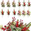 Wowagoga 12 Pcs Christmas Tree Picks 4 Styles Artificial Berry Twigs Assorted Red Berry Picks Christmas Tree Filler for DIY Handcrafted Holiday Wreath Home Decor