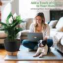 Fielda 8/10/12 Inch Self Watering Pots for Indoor/Outdoor Plants - Large Plastic Planter with Drainage Holes, Water Level Indicator & Deep Reservoir, Modern Decorative Flower Pots (Black)