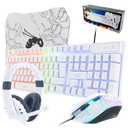 Gaming Keyboard and Mouse and Gaming Headset & Mouse Pad, Wired LED RGB Backlight Bundle for PC Gamers Users - 4 in 1 White Edition Hornet RX-250