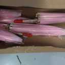 MECCANIXITY 6 Pcs Paper Umbrellas, 8" DIY Oiled Paper Painting Umbrellas for Photography Props Craft Party Wedding Decoration, Pink