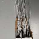 Branches for Vase, 3'4' Natural Birch Tree Branches for Decoration, Bundle of 10 Tall Decorative Sticks for Vases, Rustic Wood Branches for Crafts, Weddings, Seasonal & Home Dcor - White