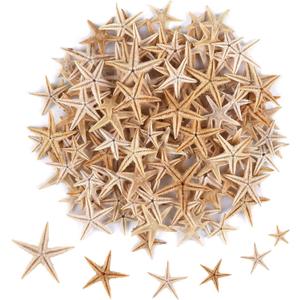 100 Pcs Small Starfish Star Sea Shell Beach for Craft 0.4"-1"