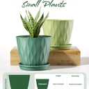 4 Inch Plant Pots with Drainage Holes, 6 Pack Plastic Indoor Flower Pots, Succulent Pots for Orchids, Violets, Succulents, Herbs, and Other Small Plant, 6 Colors